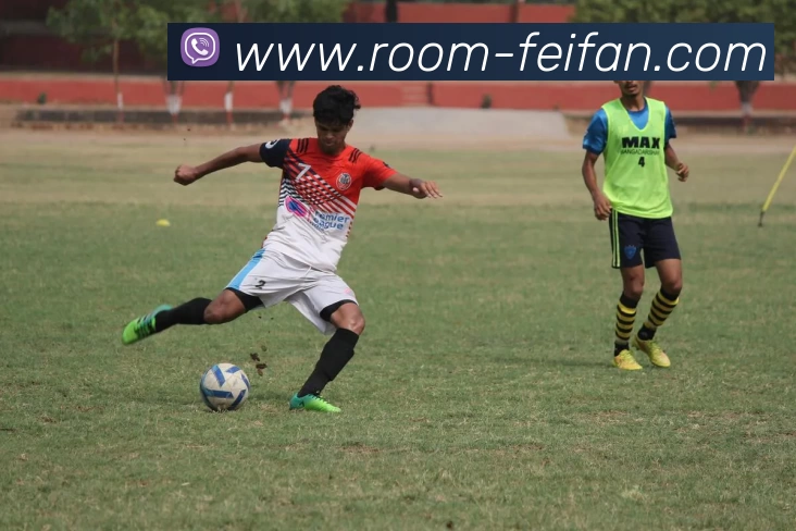 非凡娱乐平台生态图